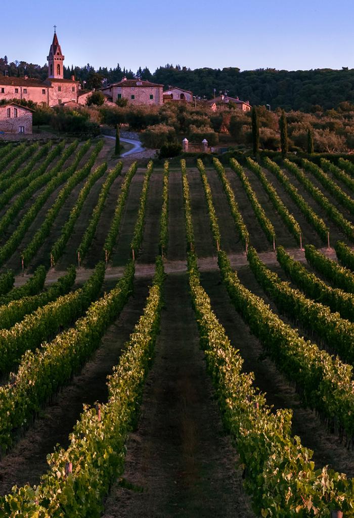 La Porta Vineyard into San Gusme